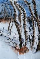 Landscapes - Trees In Winter - Watercolor On Rice Paper